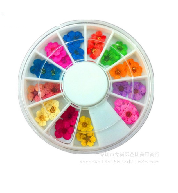 12 Lattice/Color 3D Nail Art Sticker Wheel Dried Flower DIY Tips Manicure Decors