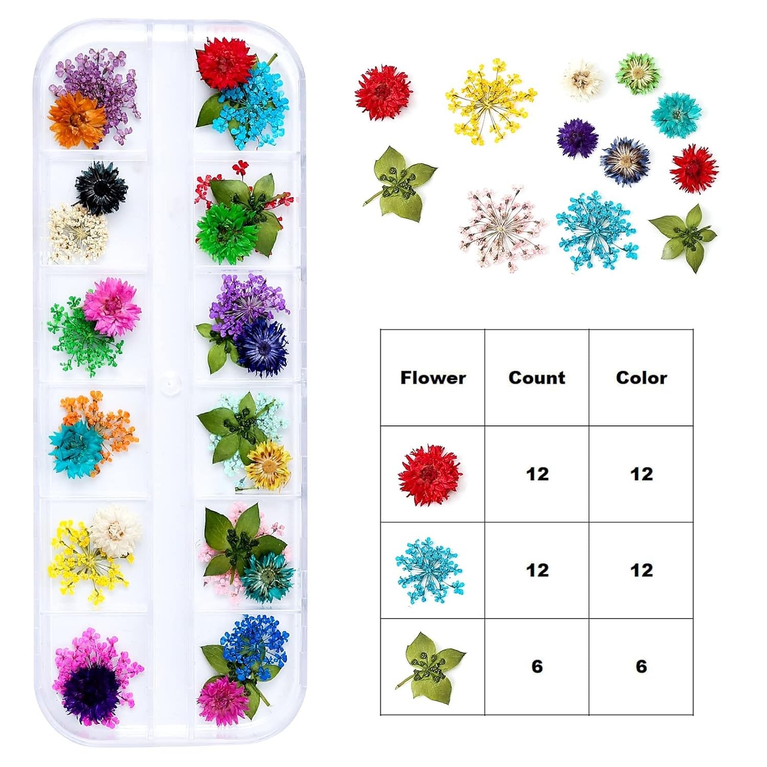 Dried Flowers for Resin Craft Nail Art Mix Small Mini Dry Flowers Pack of 6 B…