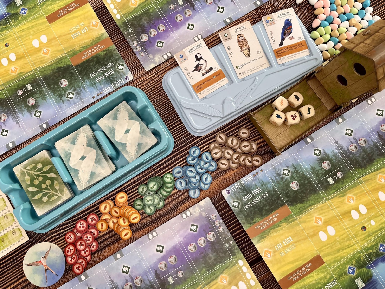 Stonemaier Games: Wingspan (Base Game) by Elizabeth Medium, Mixed Colours