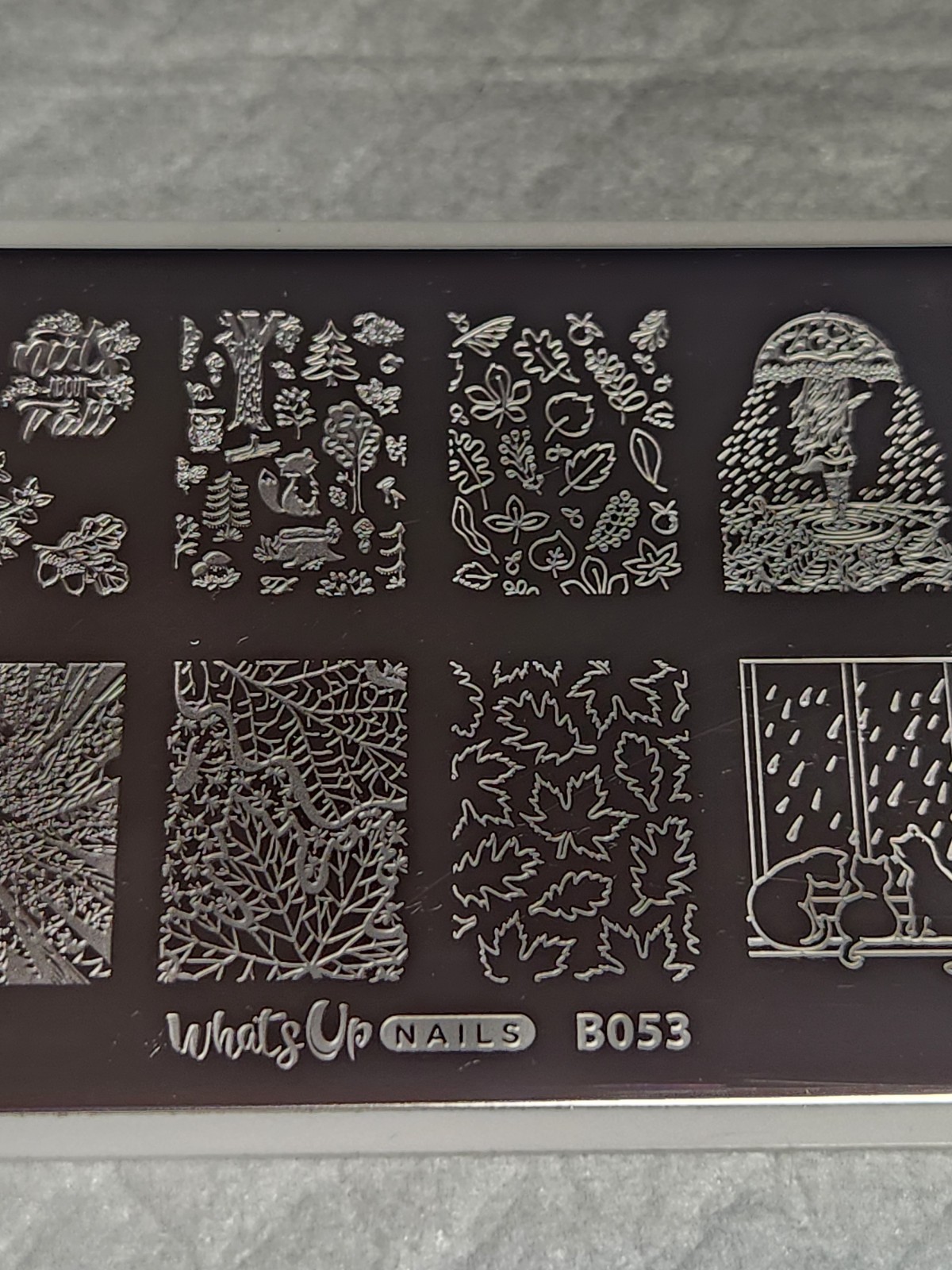 What’s Up Nail Stamping Plate B053 – That’s Pretty Autumn