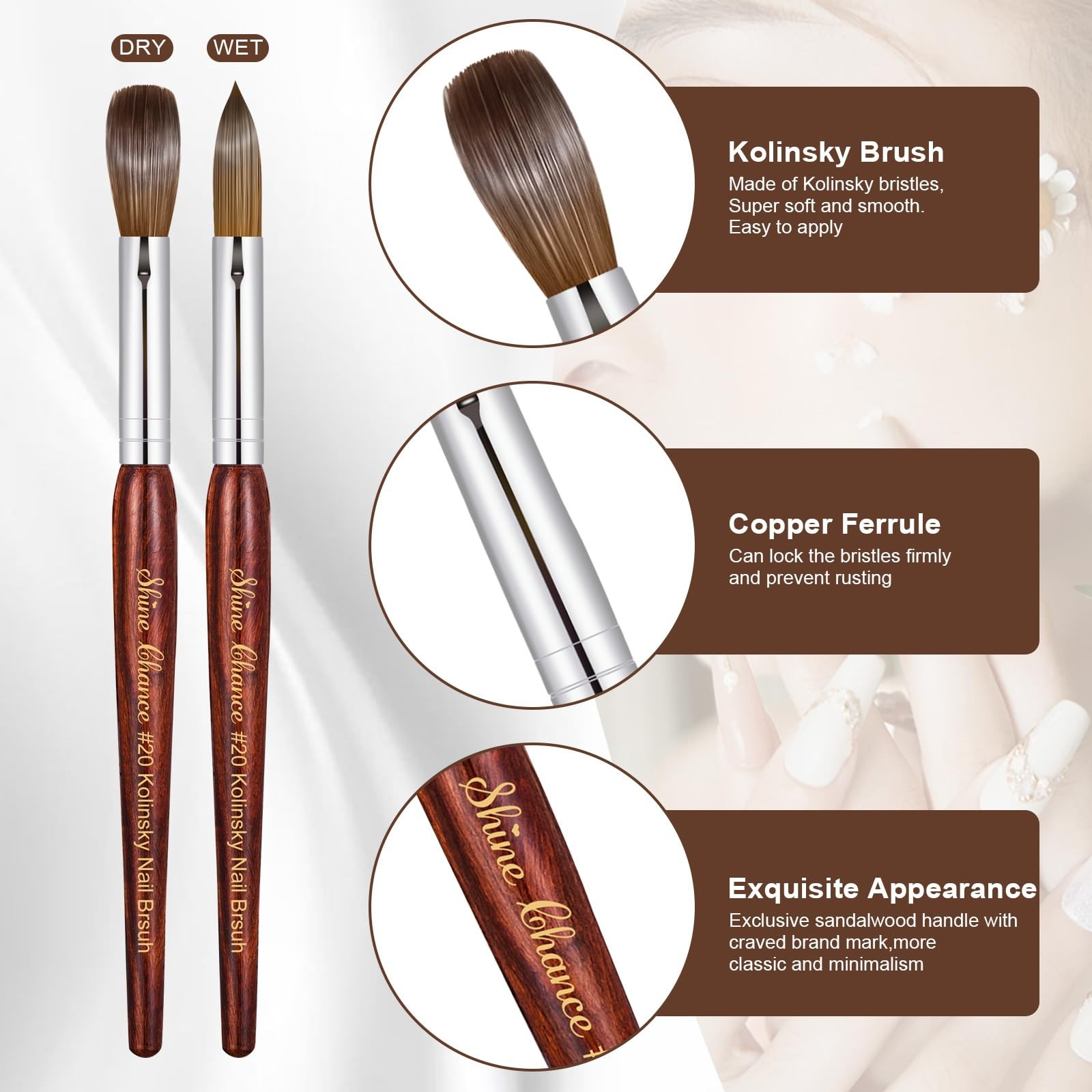 Acrylic Nail Art Brush Size 20, 100% Pure Kolinsky Hair Oval Nail Brush for A…