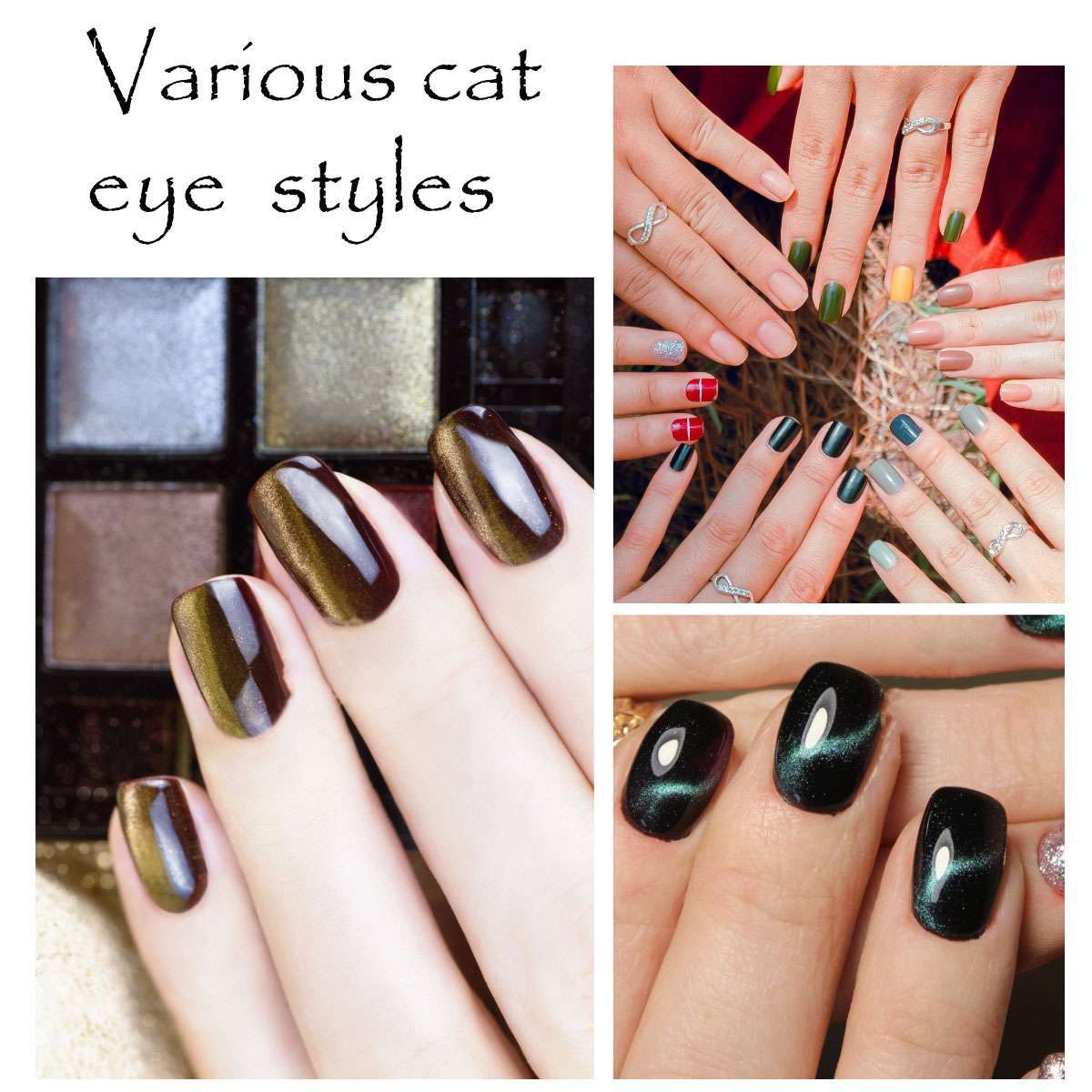 Nail Art Magnet Cross Shaped Nail Polish Magnet 5-in-1 Magnetic Polish for DIY