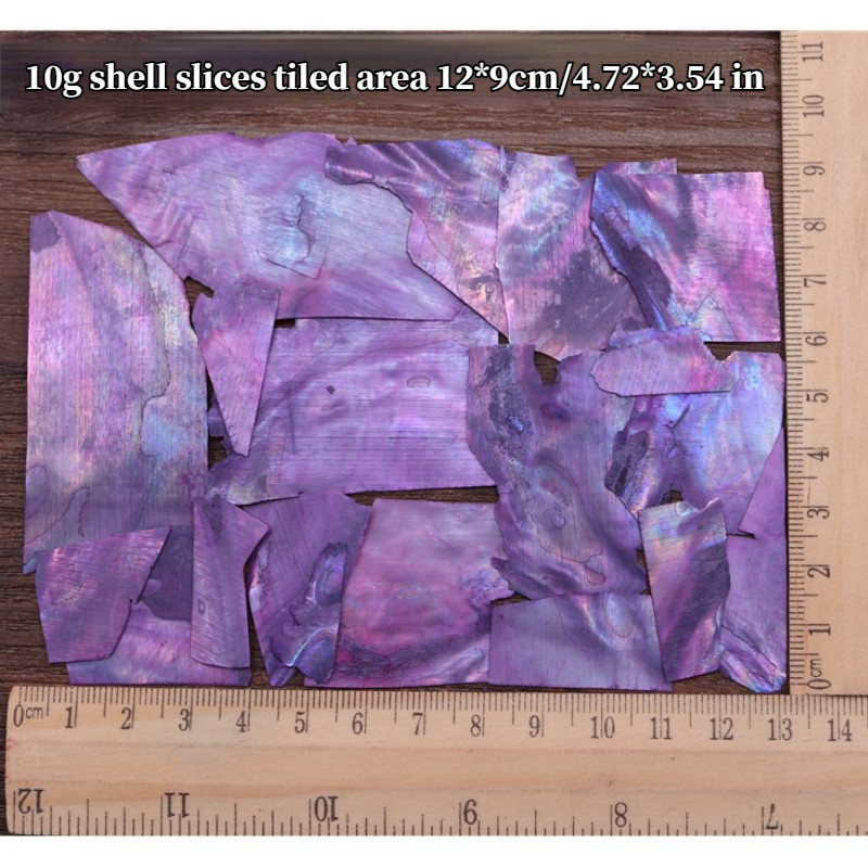 10g Abalone Shell Flakes Irregular Shell Slices for Nail Art Supplies DIY