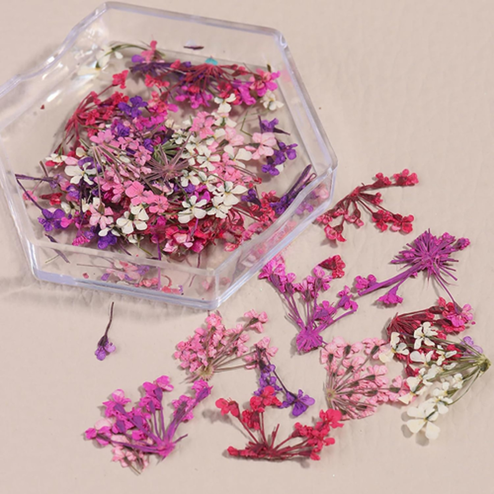 Dried Flowers Nail Art Stickers Set 4 Boxes Natural Tiny Floral Petals Colorful