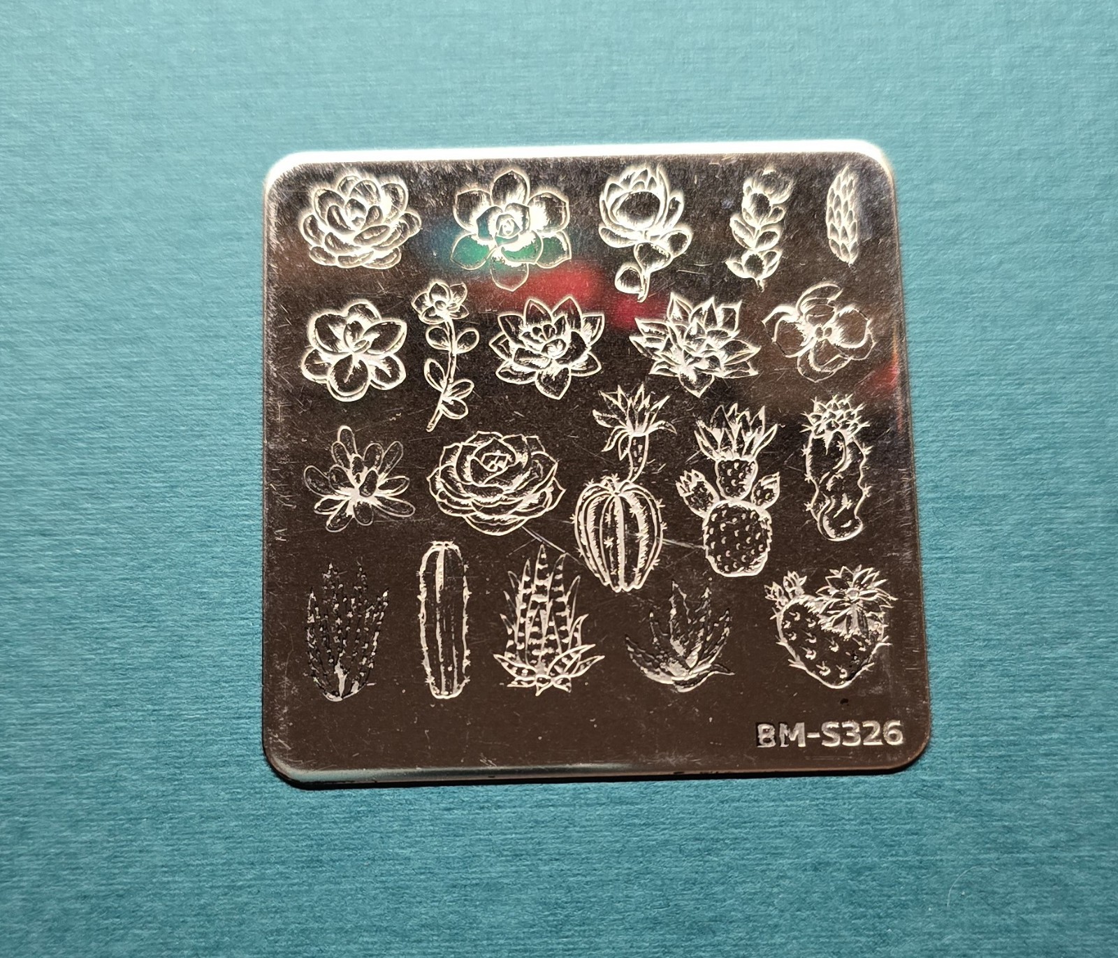 BM-S326 Maniology Bundle Monster nail stamp plate Succulent Cactus -used HTF