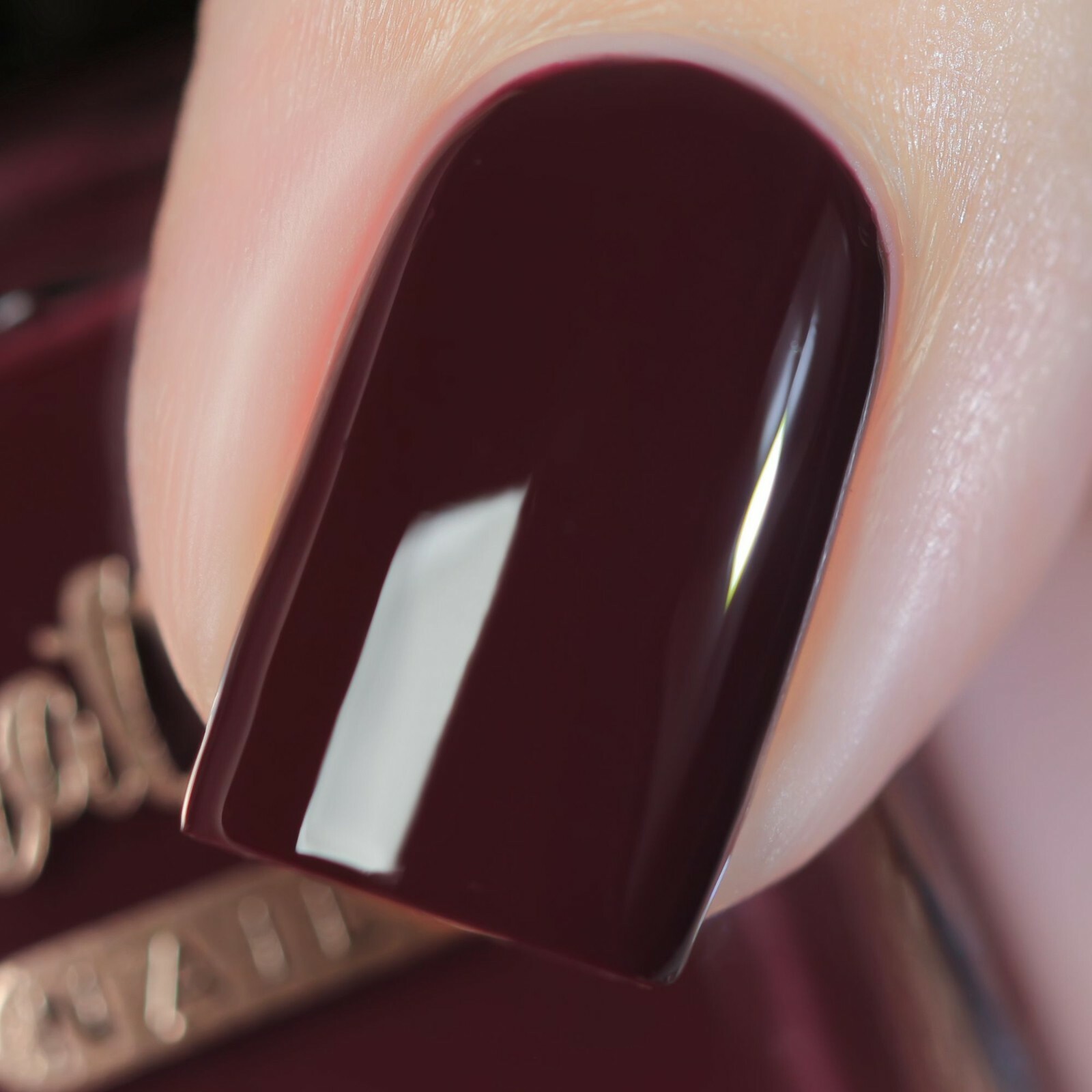 Tasting Trip Regular Polish (Dark Burgundy Brown Creme), Polish for Nail Art