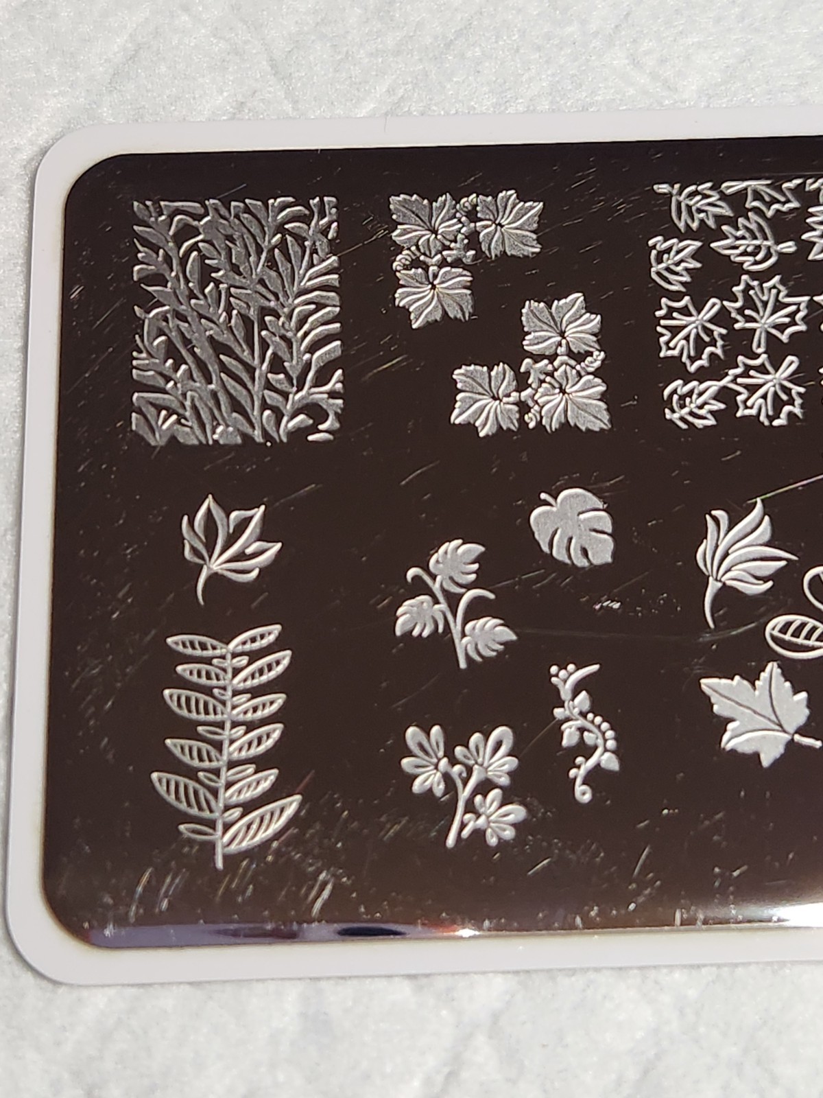 twinkled t Nail Stamping Plate – Leaves TT01