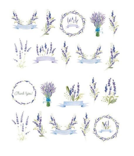 Flower, Floral Nail Art Water Decals DIY Nail (Group 7)