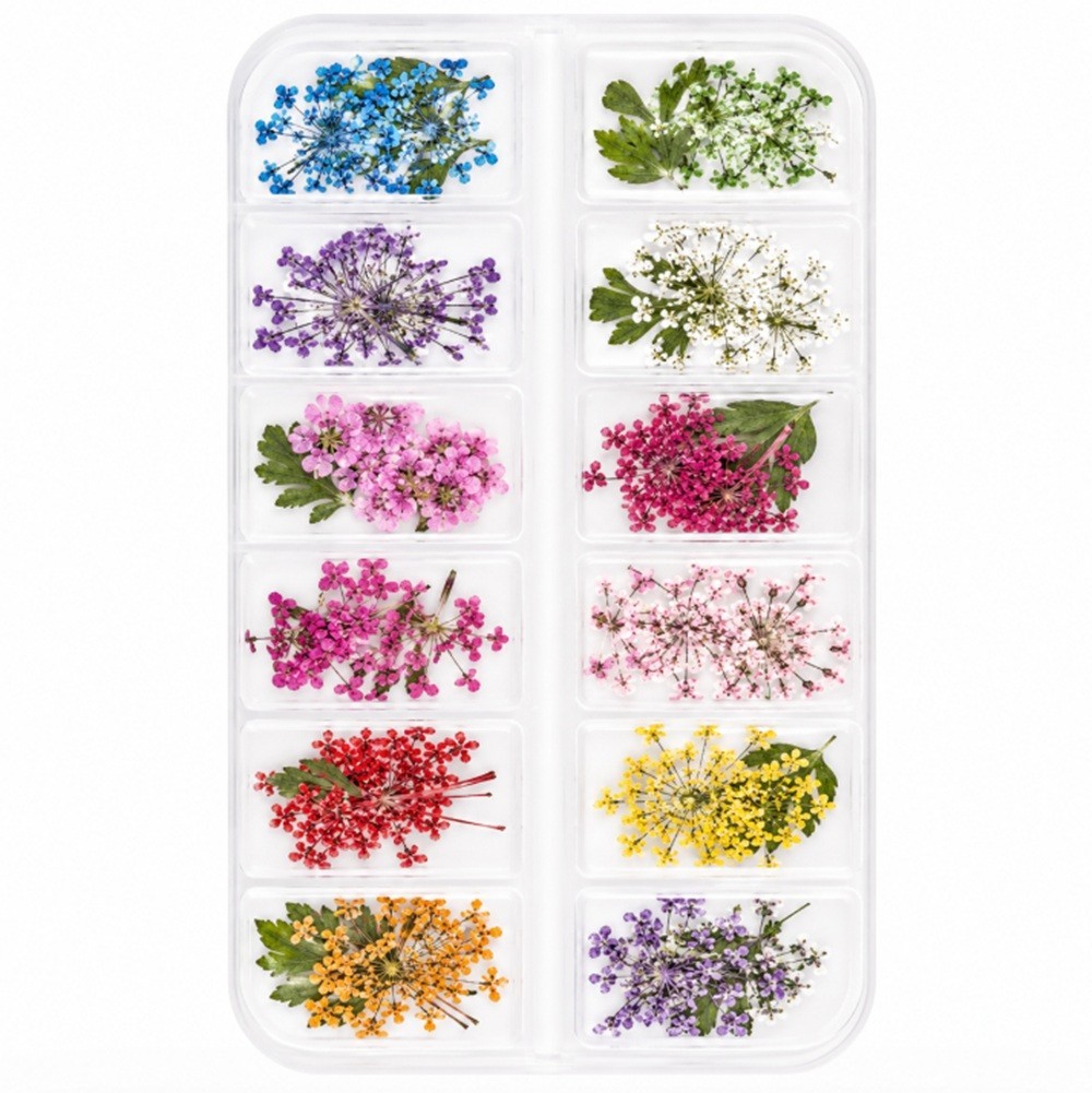 12-Color Real Dried Flowers Nail Art Set – 3D Decors DIY Manicure Tips Box