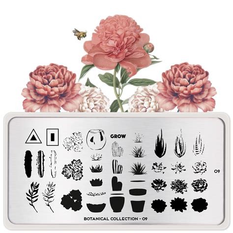MoYou London Stamping Plate Art Accessories – Botanical