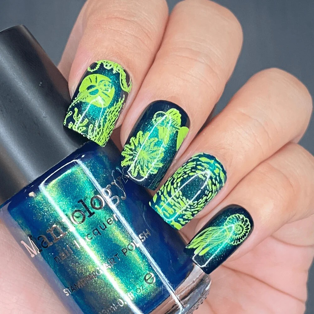 Maniology nail stamping plate MXM105 & 106 HTF