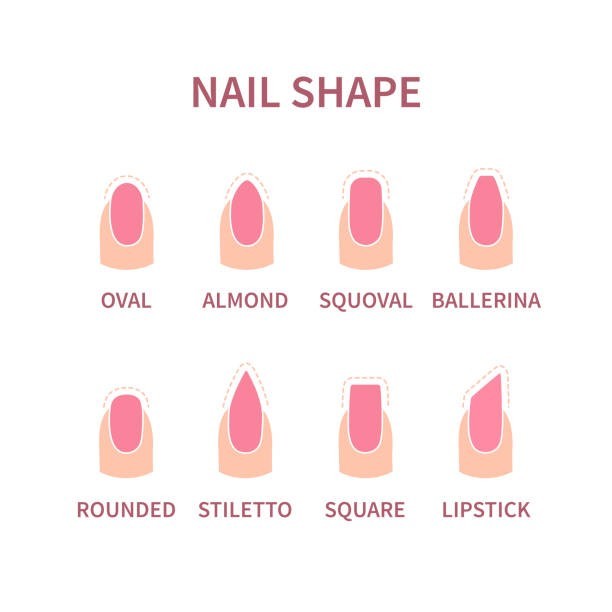 Press On Nails Wholesale Vendor 50 Sets (Start A Nail Business) Logo Included