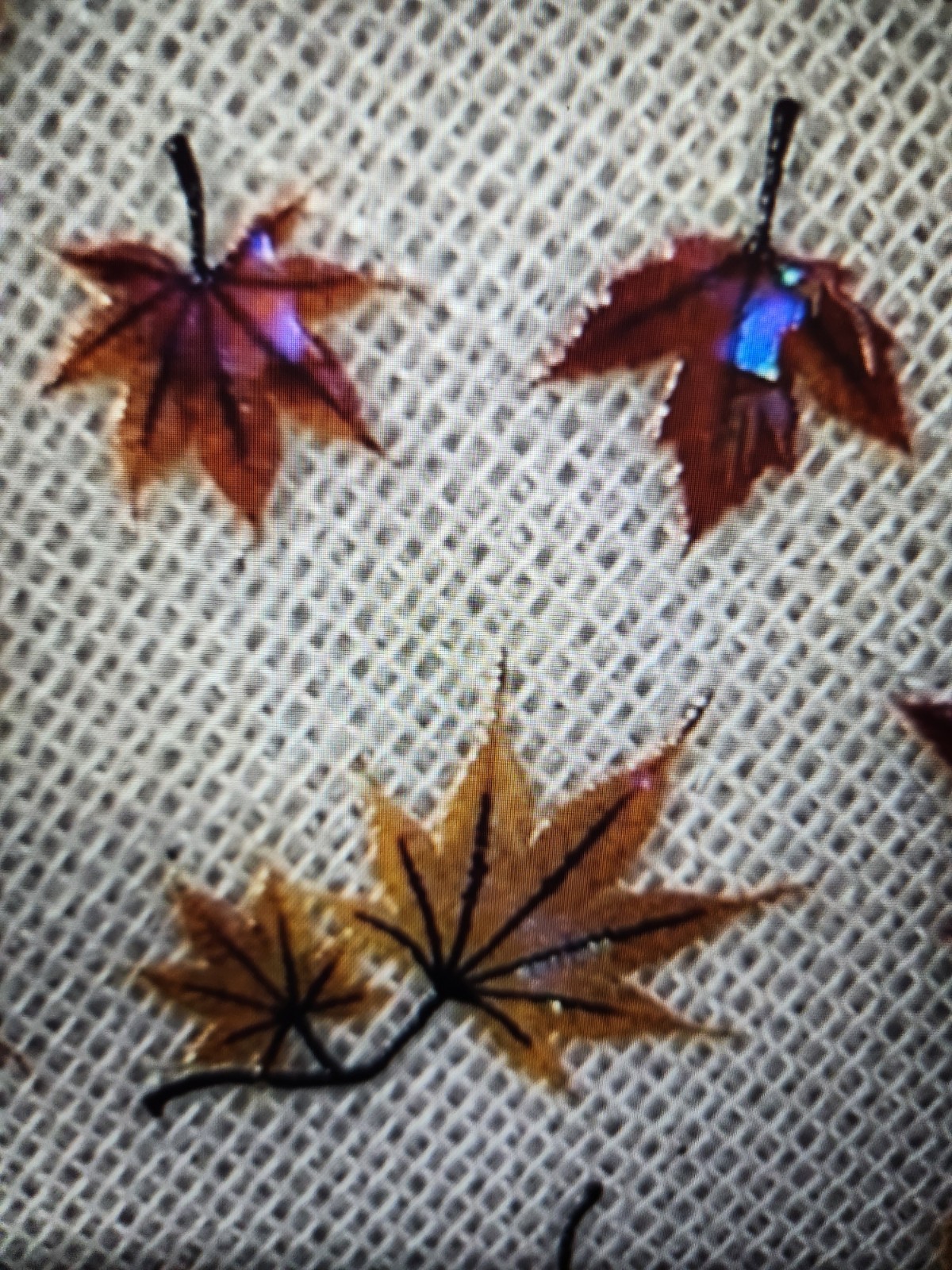 Shell Light Aurora Maple Leaf Nail Art Stickers, with a Variety of Fiery Colors