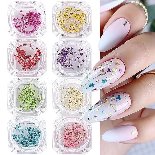 8 Boxes Dried Flowers for Nails Mini Real Nail Flowers 3D Dried Flowers Nail