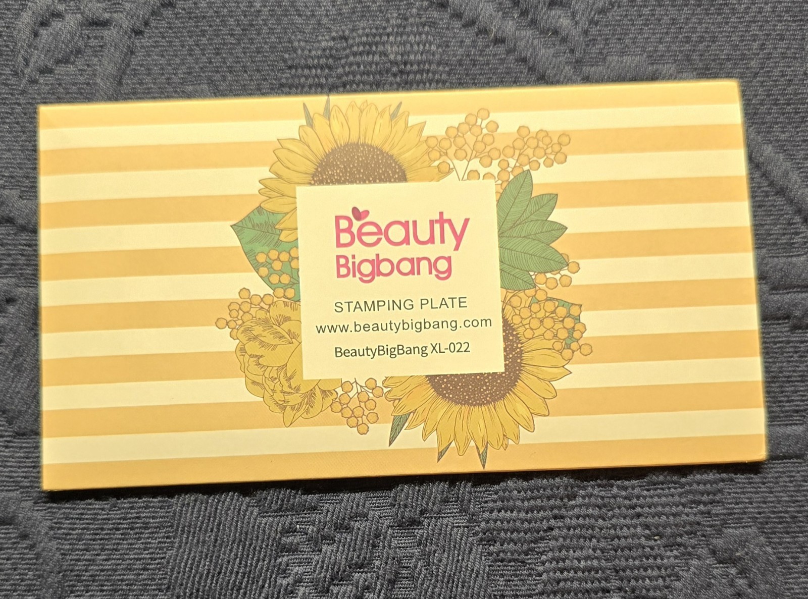 BeautyBigBang XL-022 Nail Stamp Plate Floral Flower Dandelion Fluff Wish HTF