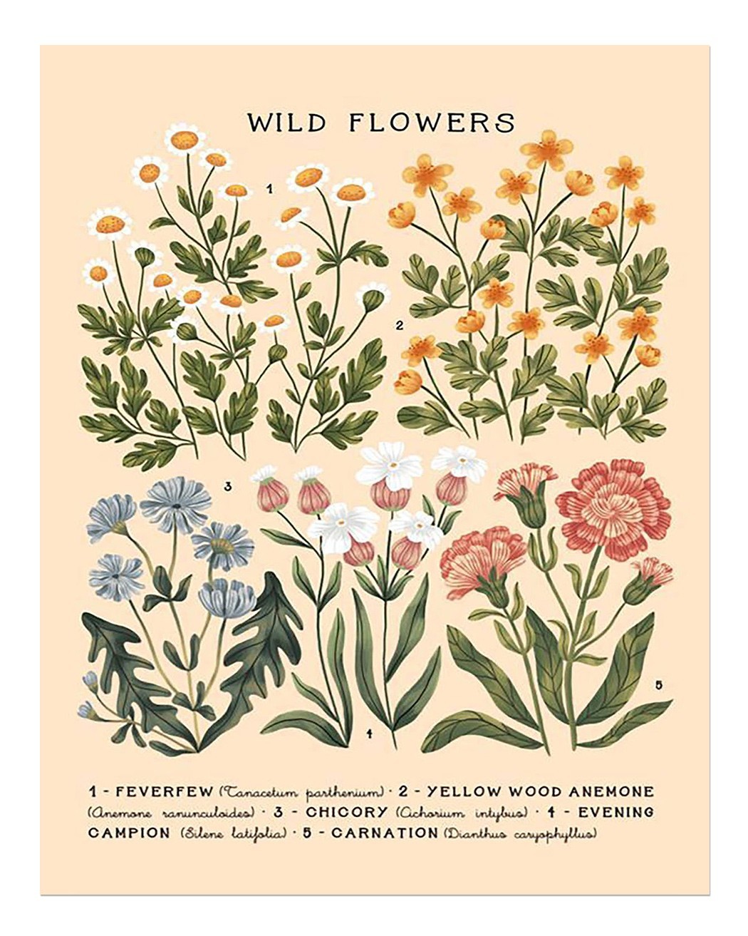 Wild Flowers Botanical Poster Wall Art – Nature Print Decor Home Decor