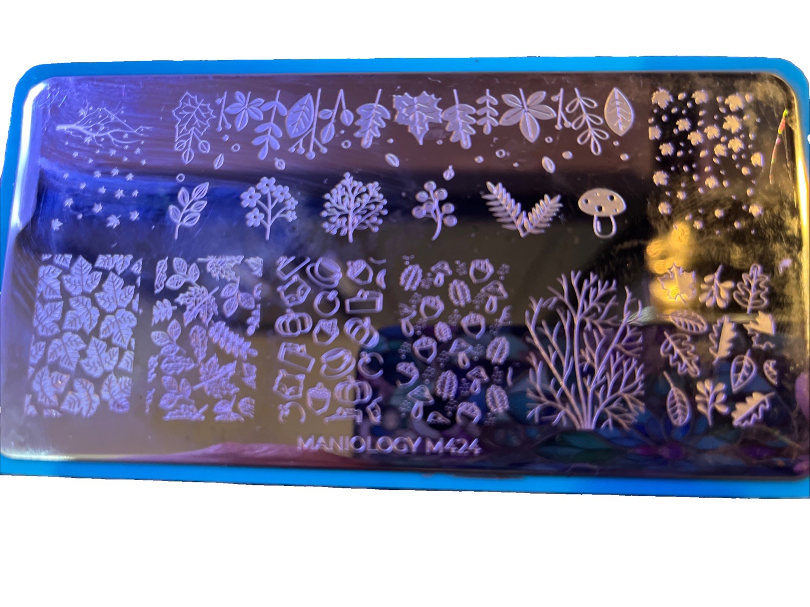 Maniology Nail Stamping Plates – Fall Lot 2