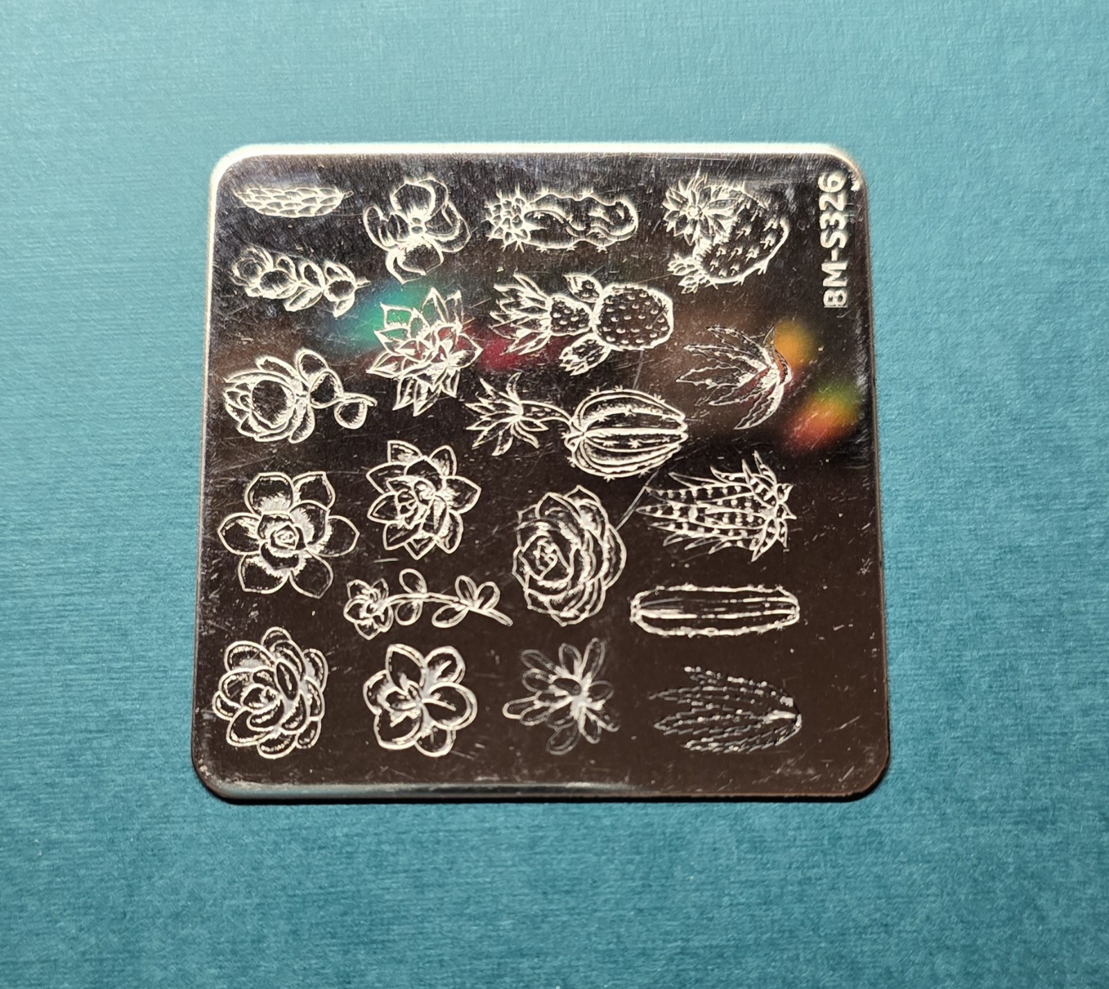 BM-S326 Maniology Bundle Monster nail stamp plate Succulent Cactus -used HTF