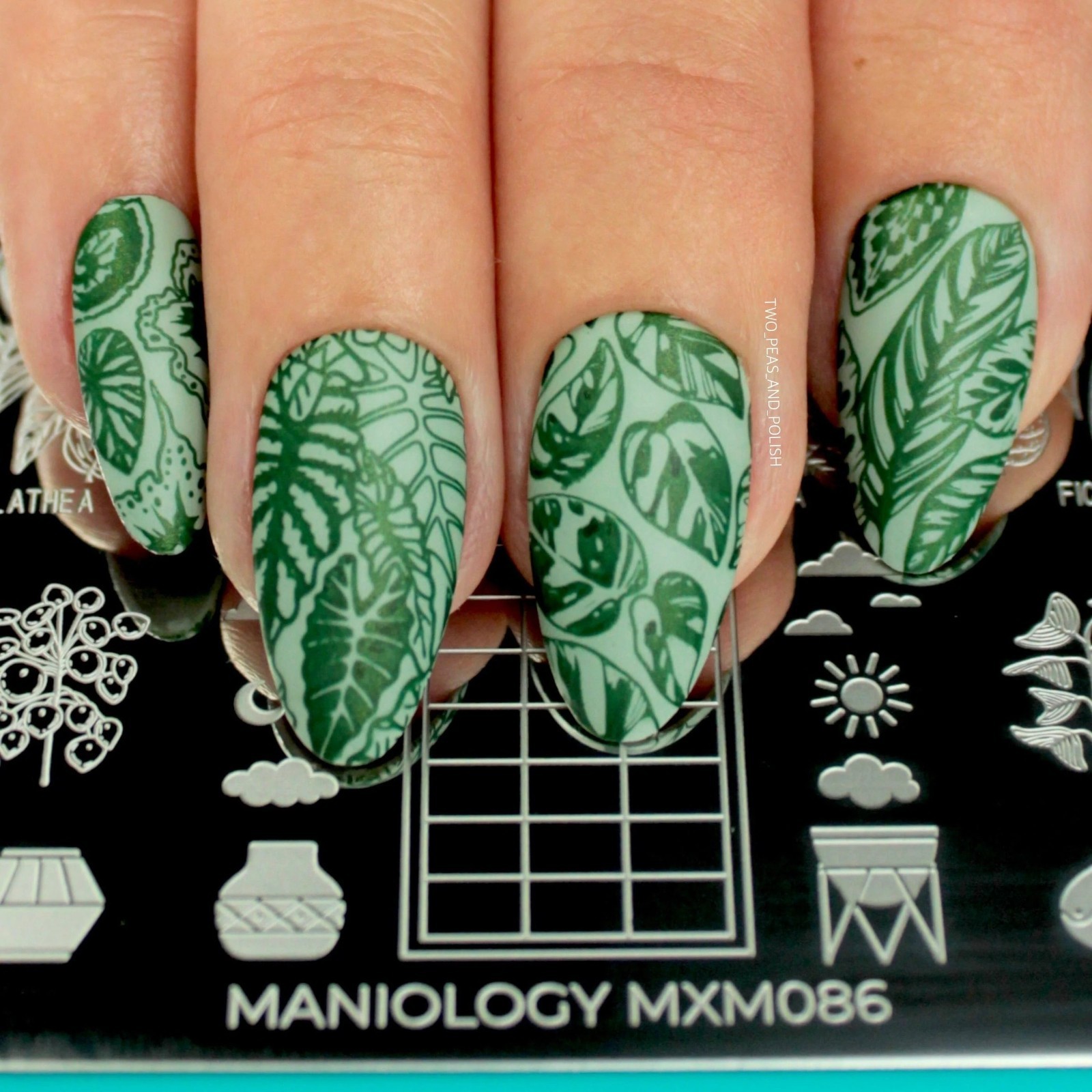 Plant Lover: Lush Living (MXM086) – Nail Stamping Plate