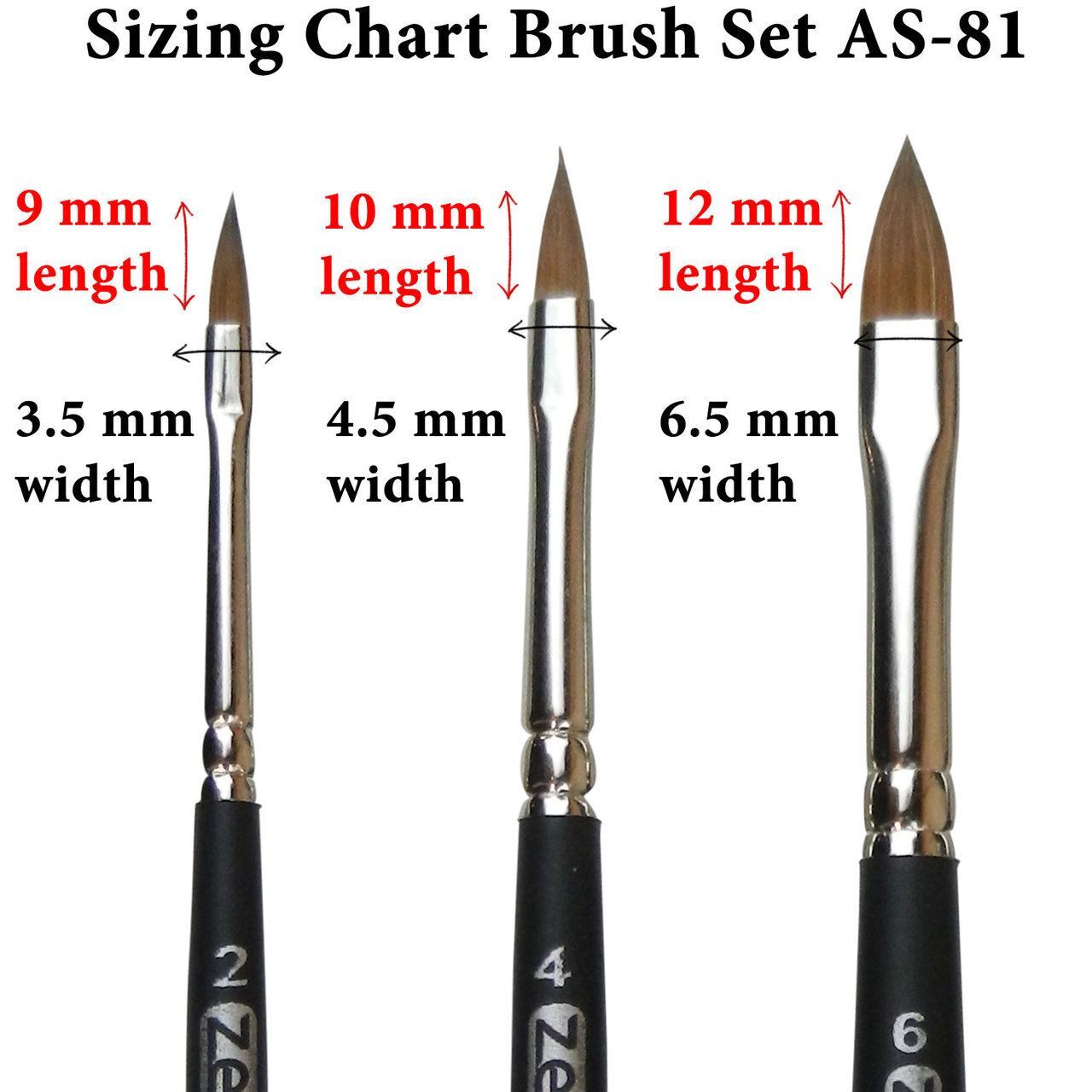 AS-81 Kolinsky Pure Sable Cat’s Tongue Brush Set 3 pcs