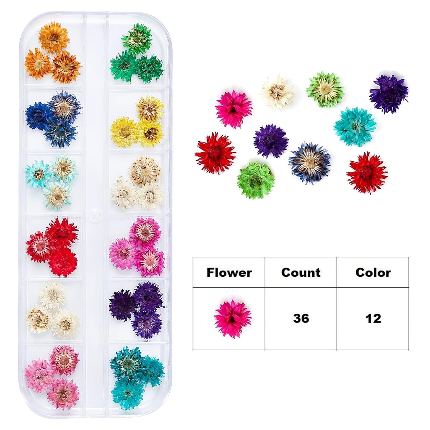 Dried Flowers for Resin Craft Nail Art Mix Small Mini Dry Flowers Pack of 6 B…