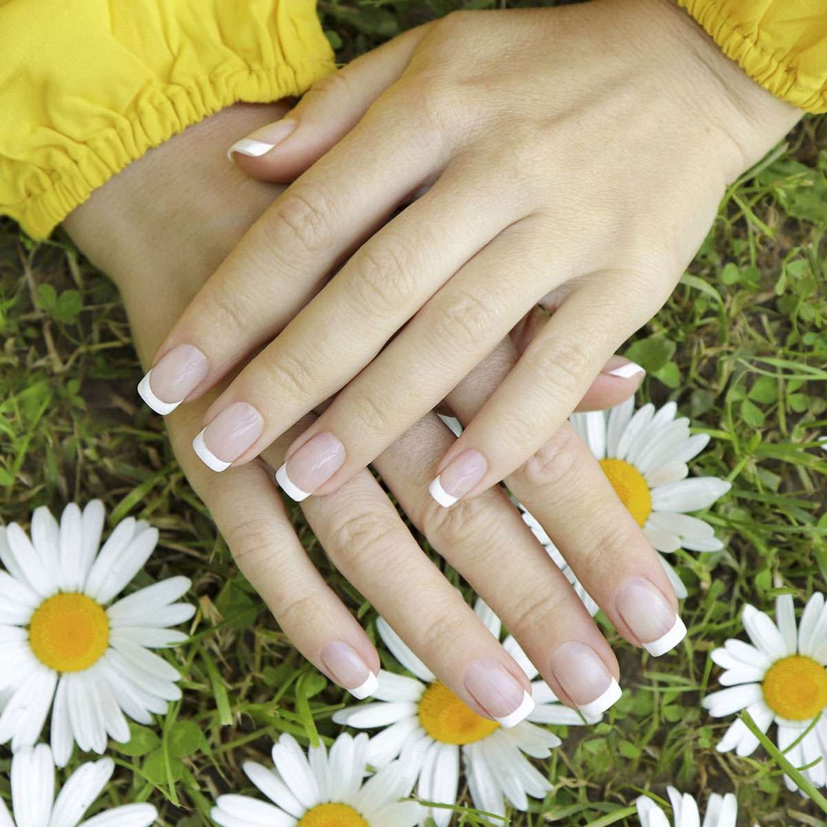 24pcs Short Square White French Style Fake Nail False Nails Press On Nails Glue
