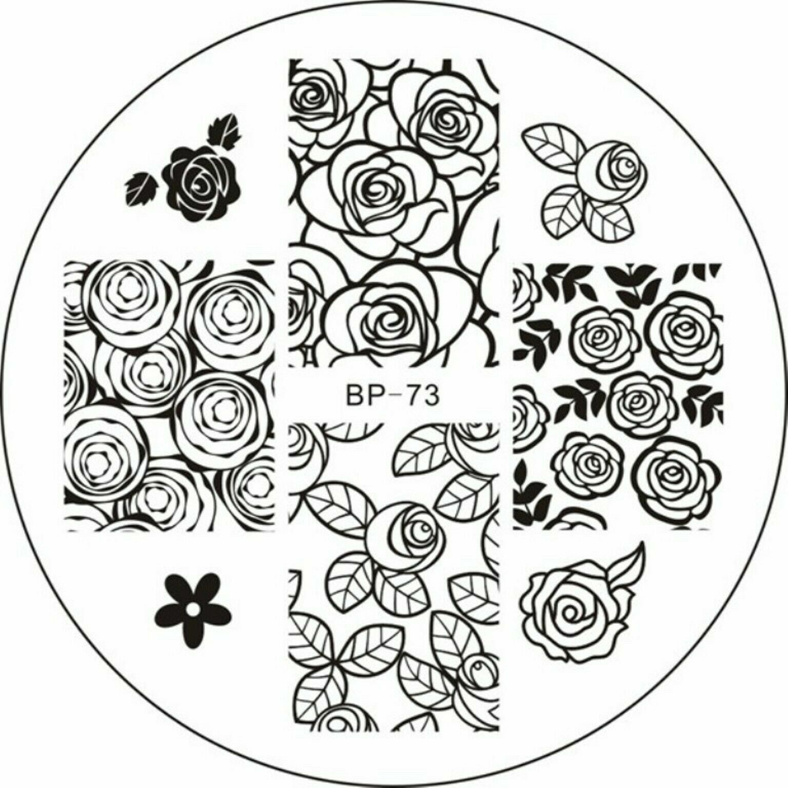 BP 73 Rose Flower Nail Art Stamping Template Image Plate Stamper Scraper Kit