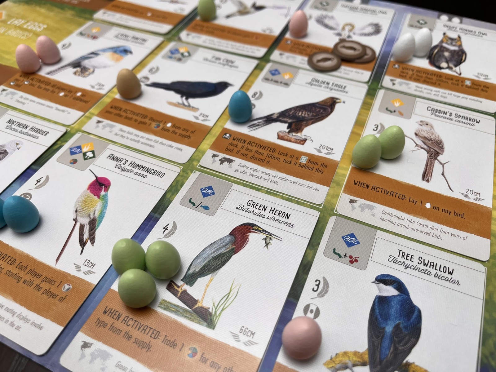 Stonemaier Games: Wingspan (Base Game) by Elizabeth Medium, Mixed Colours