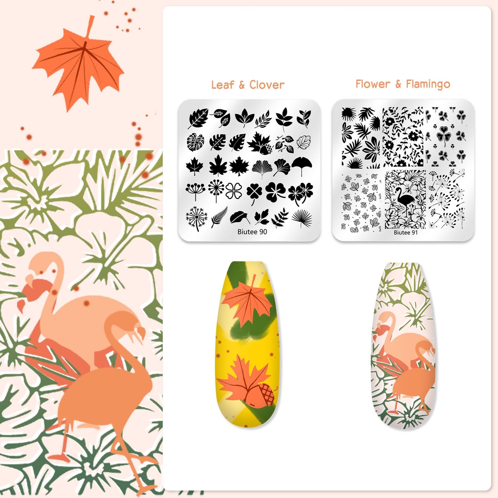 Nail Stamping Plate 20Pcs Nail Stamper Kit 16Pcs Nail Art Stamping Plates wit…
