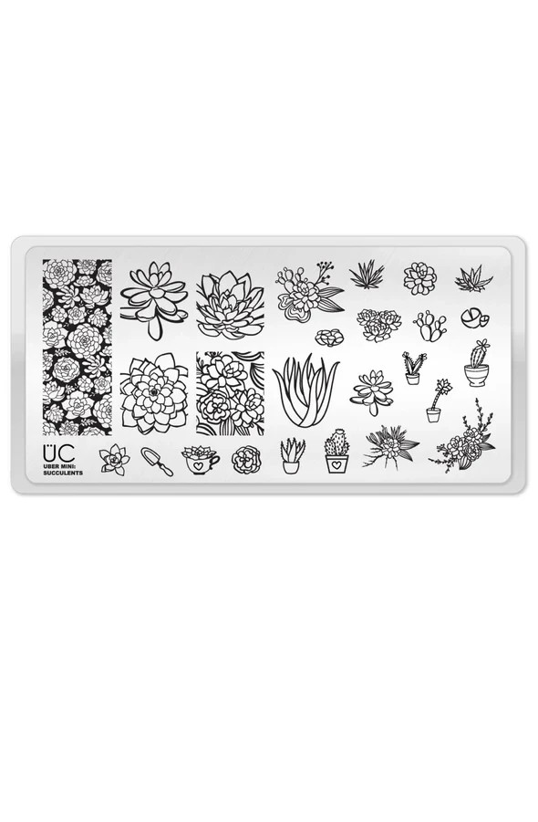 Nail Stamping Plate – Uber Chic Mini Succulents