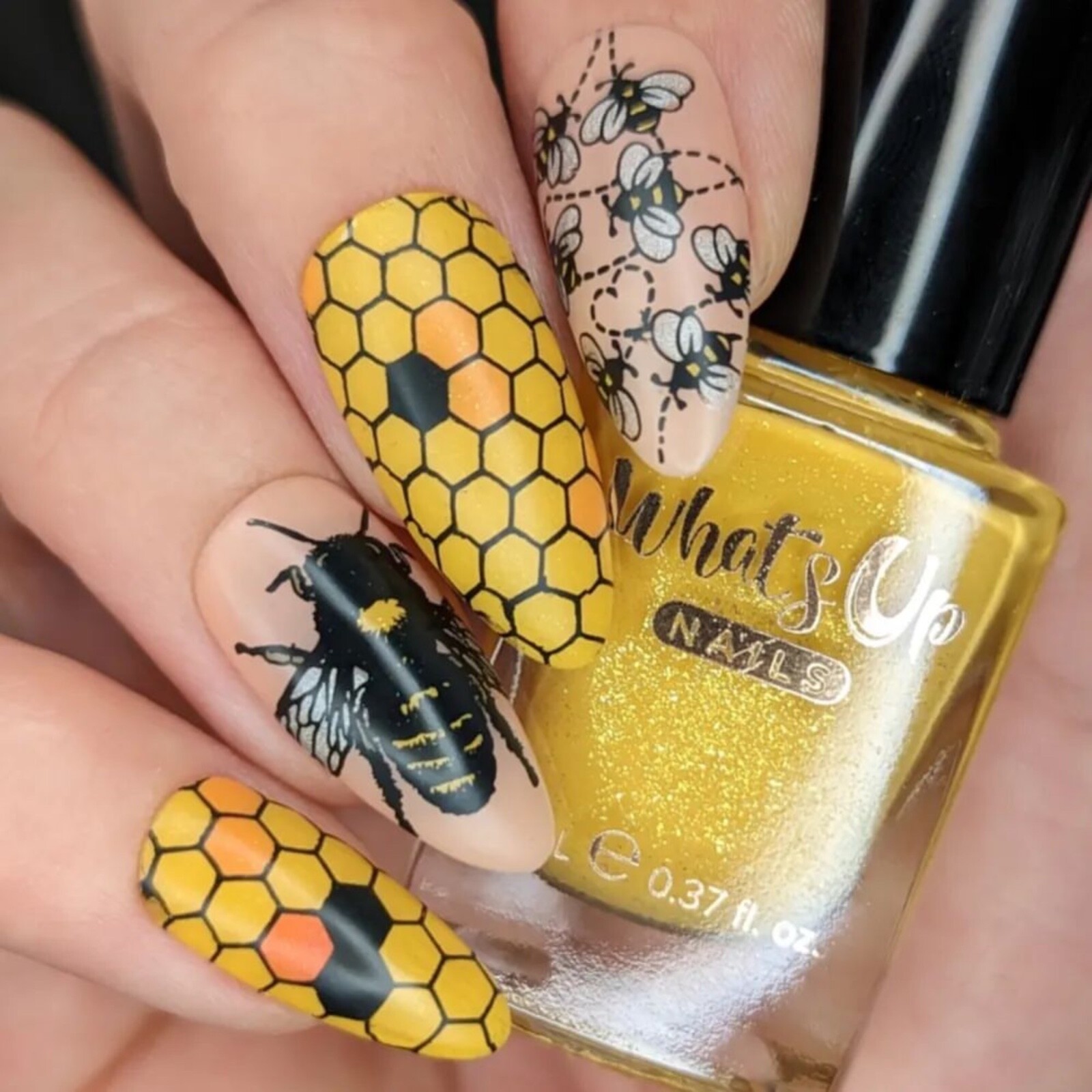 B075 Somewhere in Bee-tween Stamping Plate For Stamped Nail Art Design