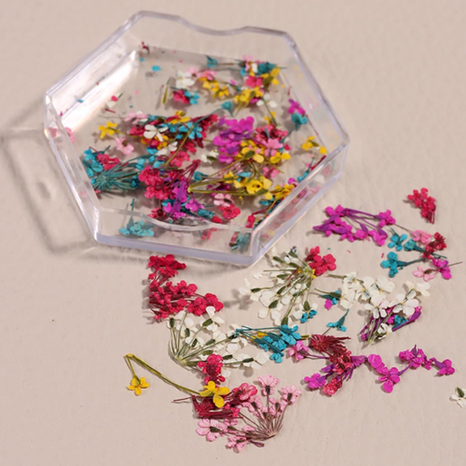 Dried Flowers Nail Art Stickers Set 4 Boxes Natural Tiny Floral Petals Colorful