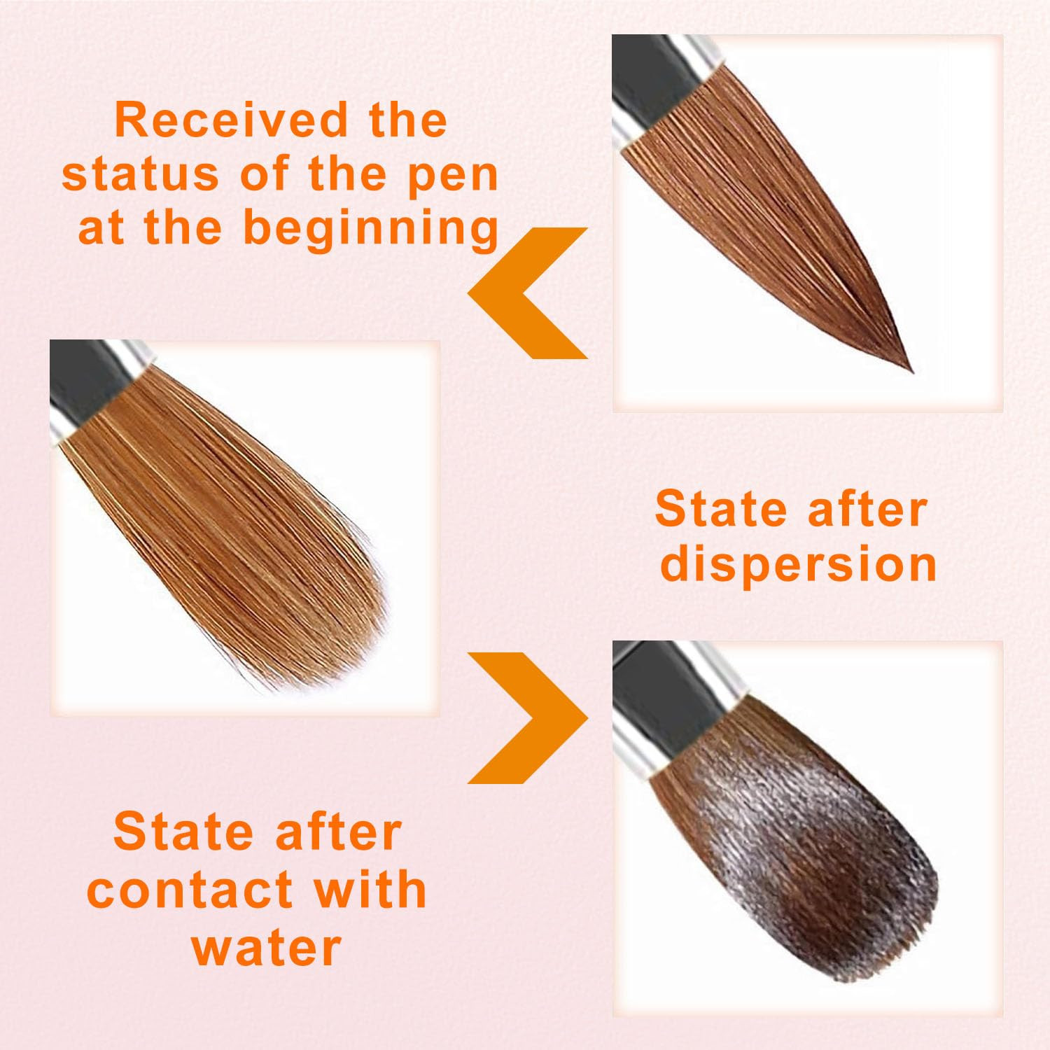 Acrylic Nail Brush Set, 4pcs Size 8/10/12/16 Professional Nail Art Brush for Acr