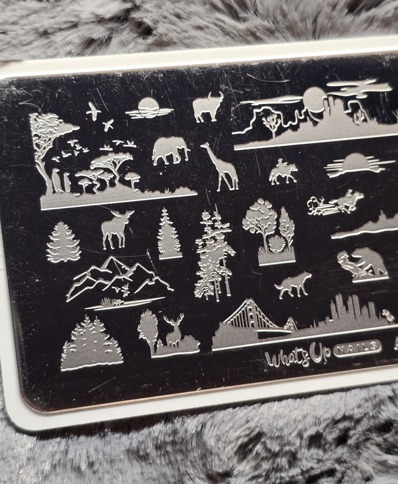 Whats Up Nails A024 Backlit Scenery Nail Stamp Plate City Safari Animals Dessert