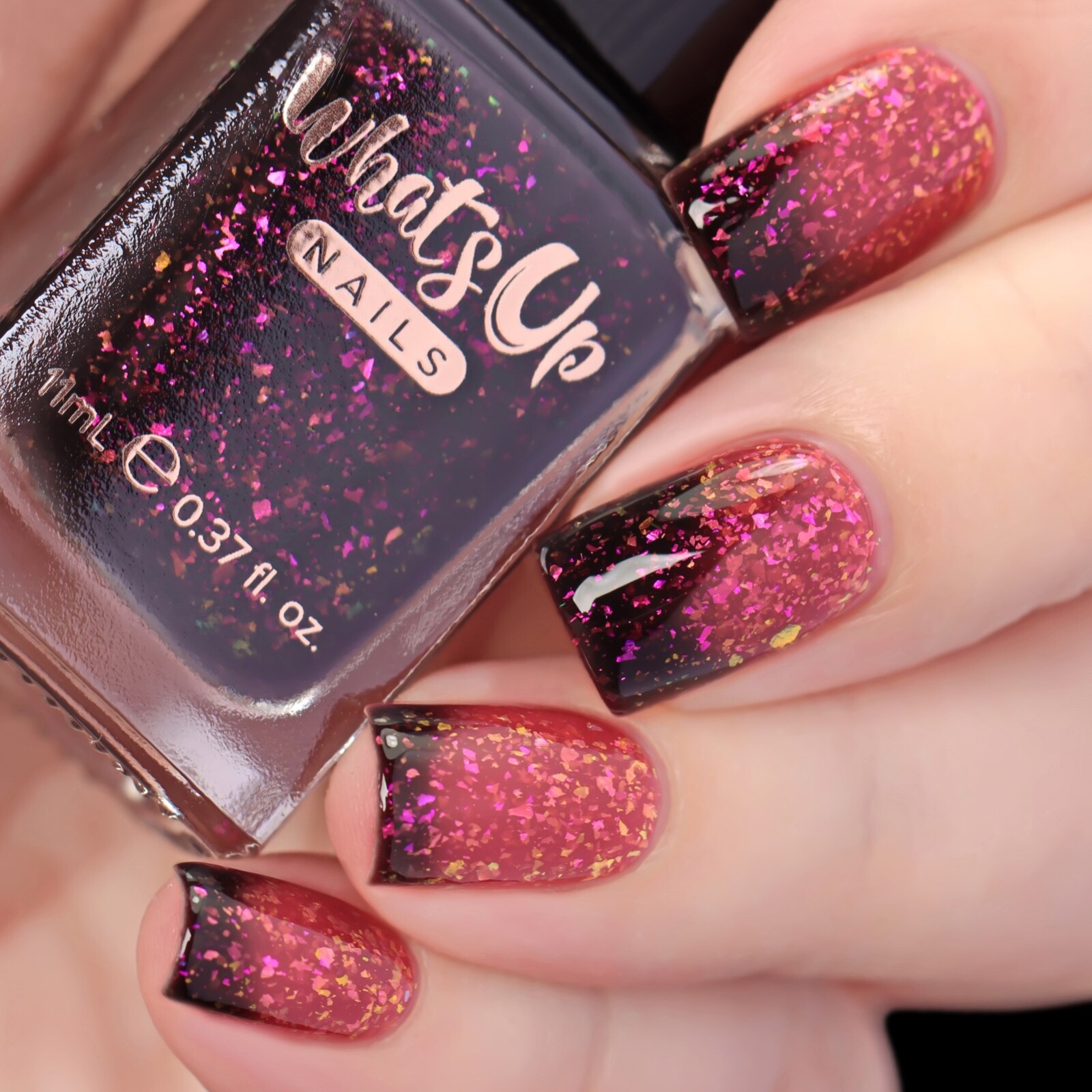 Frosted Tips Collection (6 Regular Polishes), Nail Polish for Nail Art