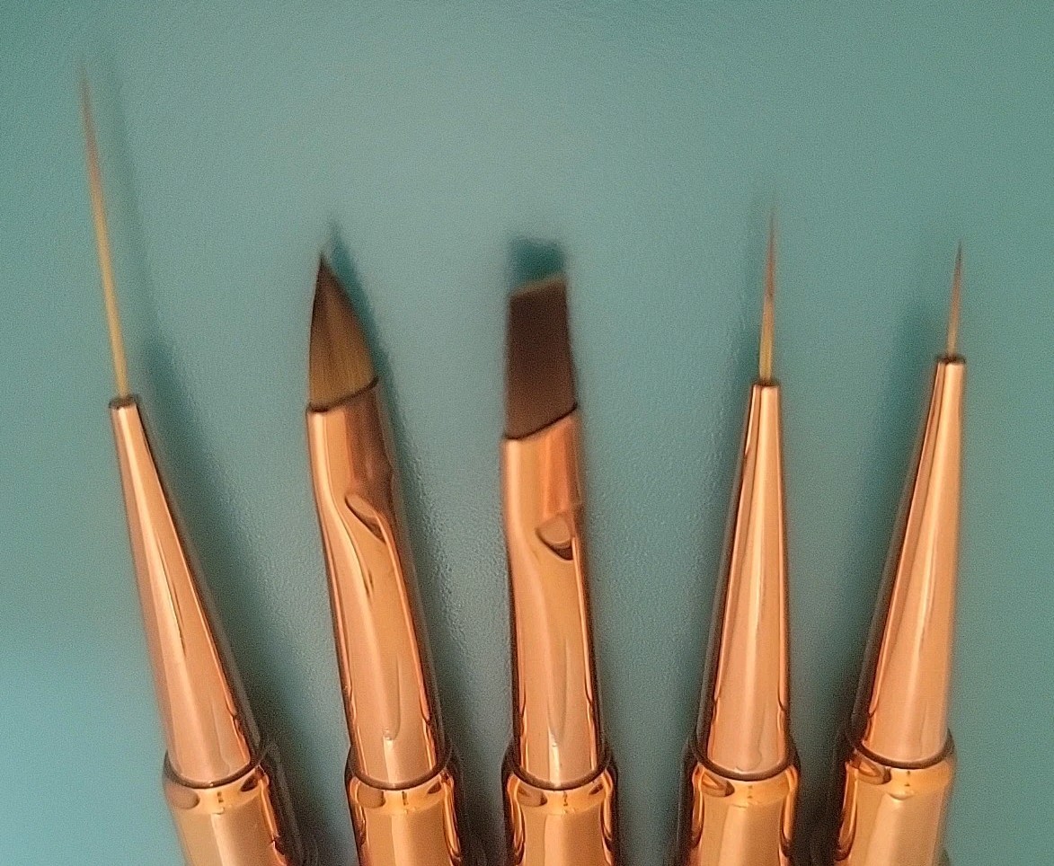 5 Piece Nail Art Brush Set