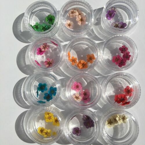 12 COLORS NAIL DRIED FLOWERS 3D NAIL ART STICKER NATURAL REAL DRY FLOWER NAIL