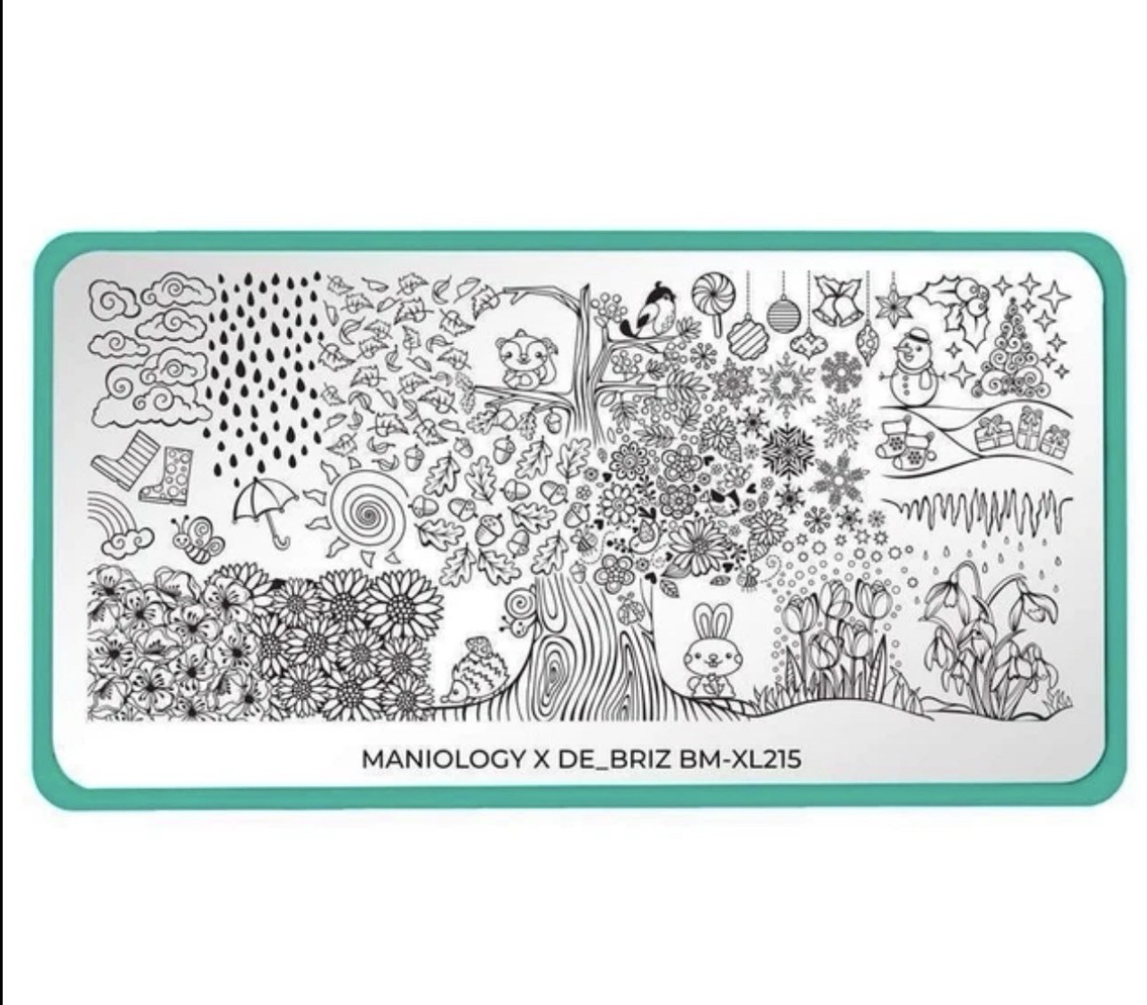 Bundle Monster Maniology de_briz Colab BM-XL215 Seasons Nail Stamping Plate
