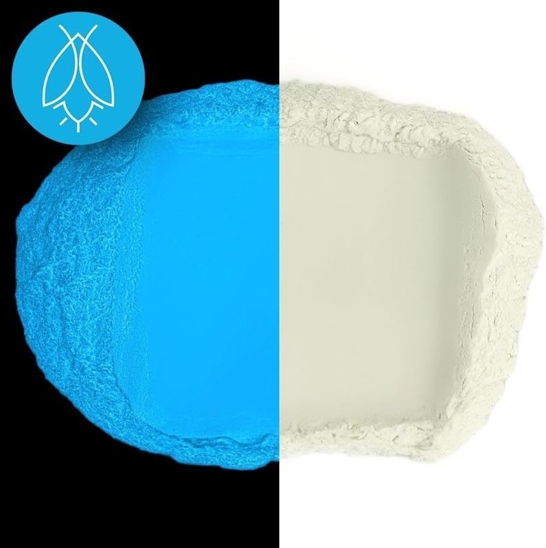 Glow in The Dark Pigment Powder – Neutral and Fluorescent Color for Art Paint…