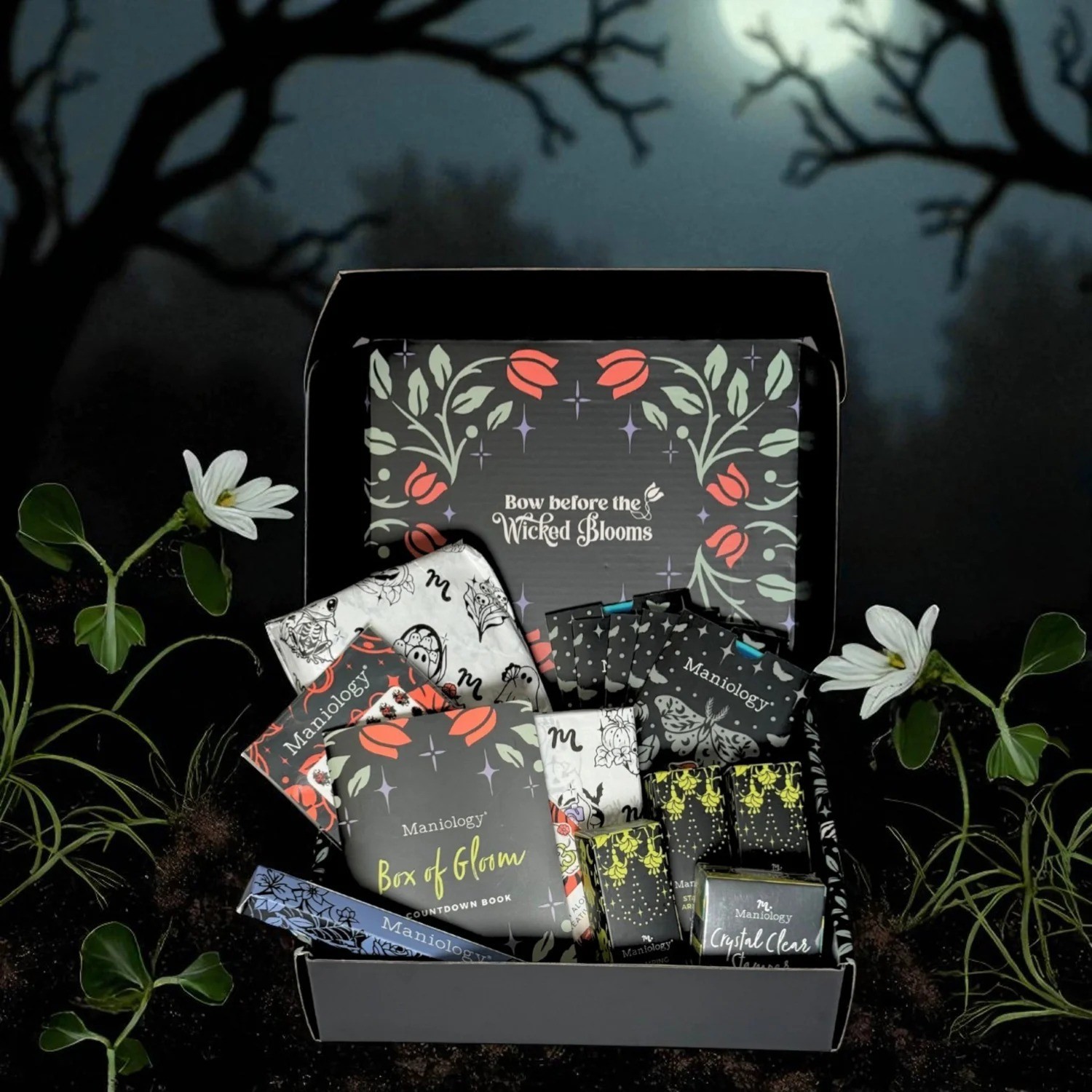 Htf! Maniology Box of Gloom ’25 Limited Edition Nail Stamping