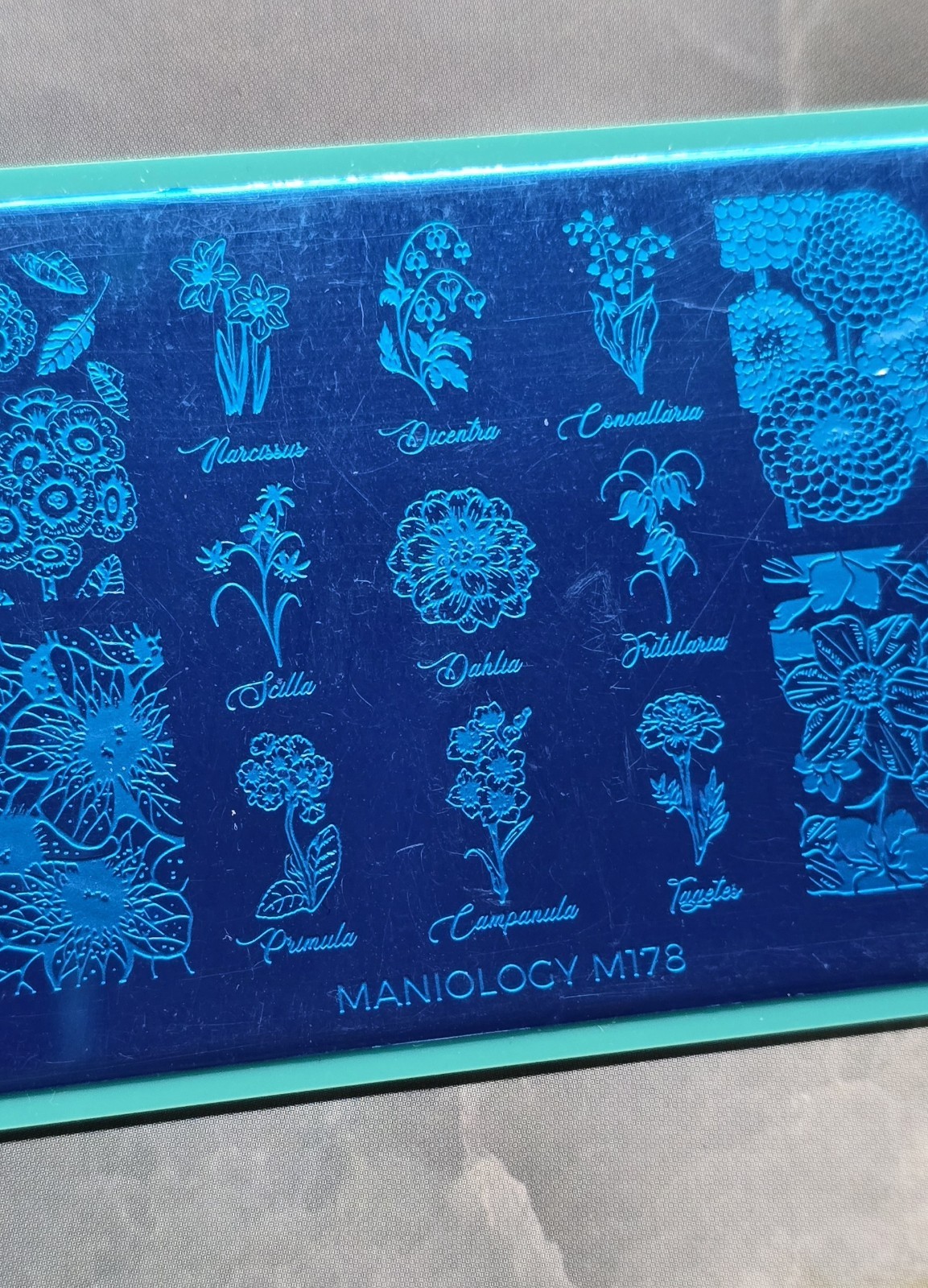 HTF Maniology M178 Floral Grow With Love Flowers Garden Florist Nail Stamp Plate