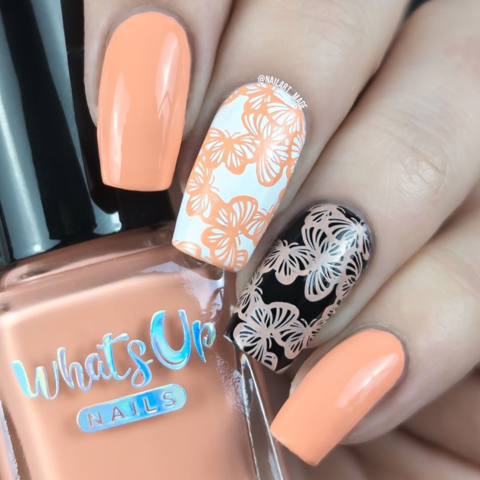 Whats Up Nails Apricot Horizon Stamping Polish (Peach), Nail Polish for Nail Art