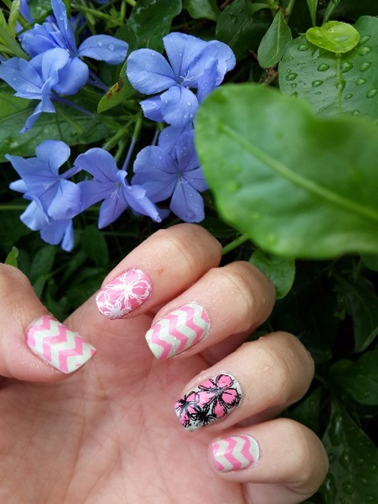 BPL 015 Forest Pattern Trees Theme Manicure Nail Art Stamp Template Image Plate