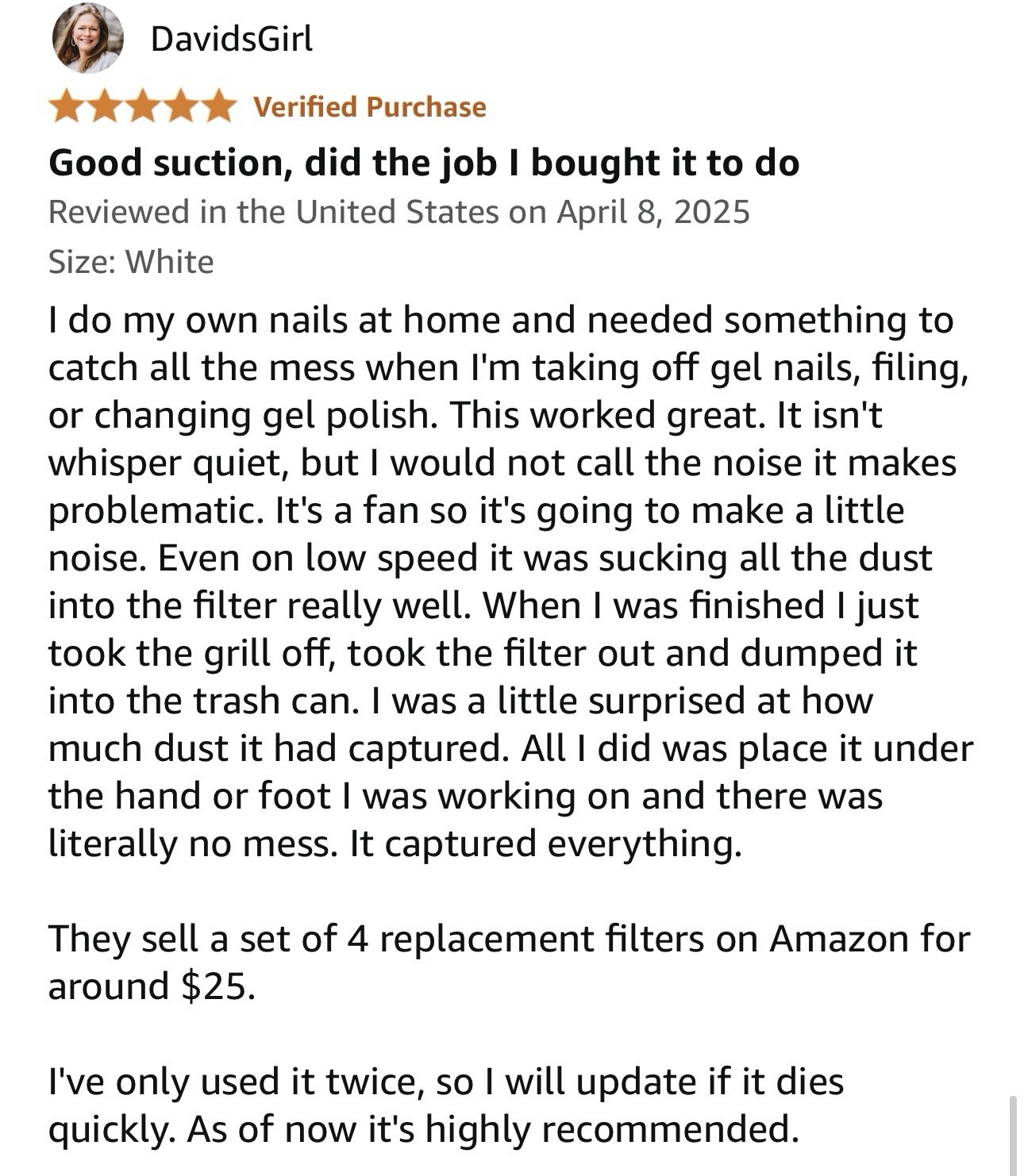 MelodySusie Cordless Nail Dust Collector