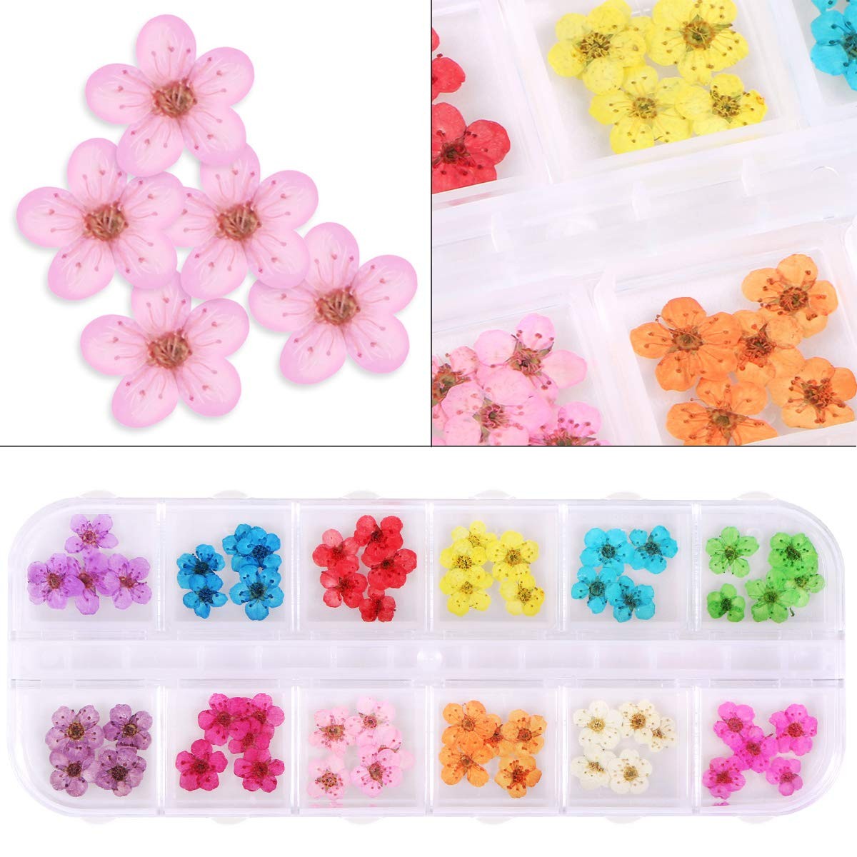 KISSBUTY 12 Colors Dried Flowers for Nail Art, 60pcs Mini 1 Count (Pack of 1)