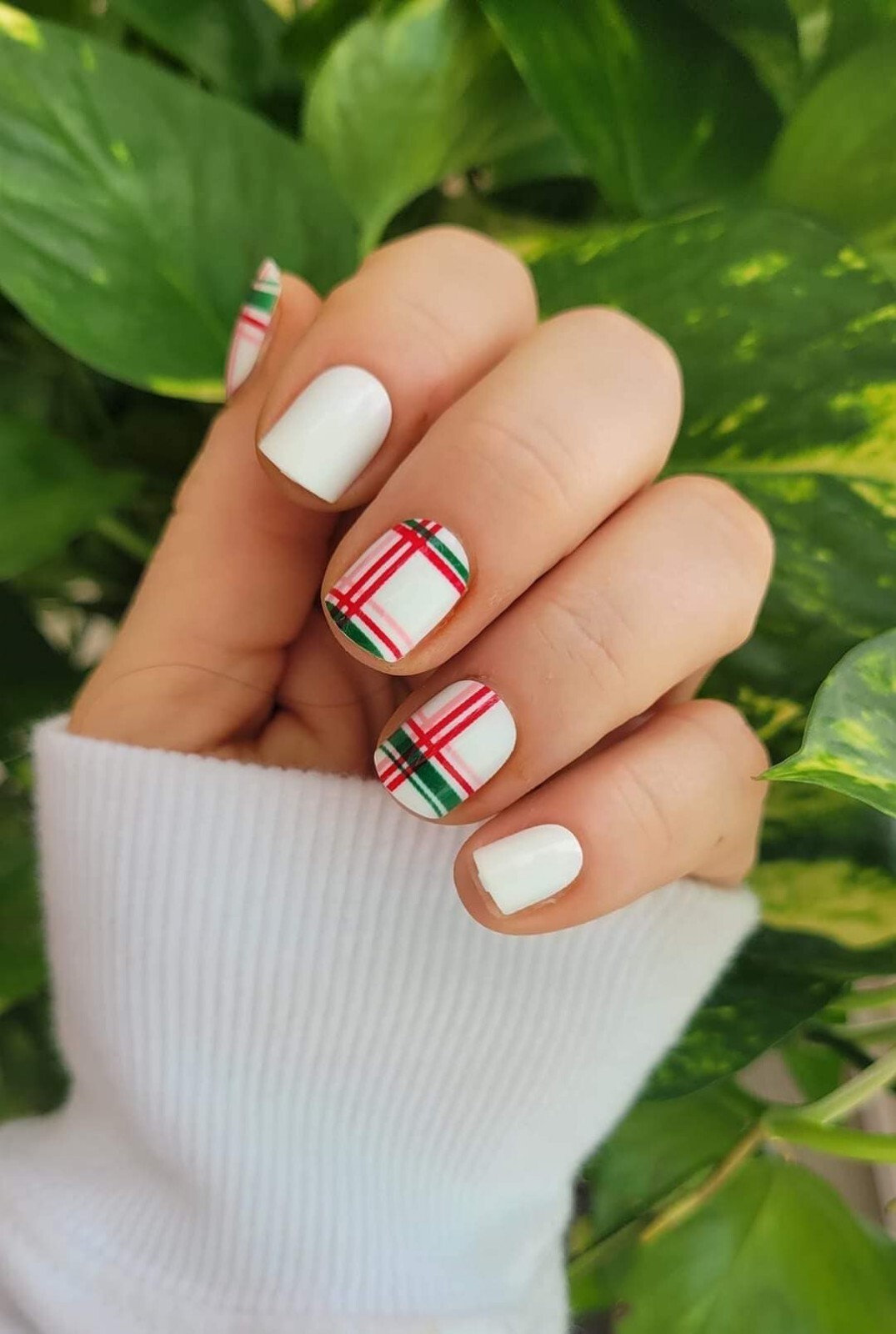 Red Aspen Press On Short Square Plaid Retro Ria ❤️