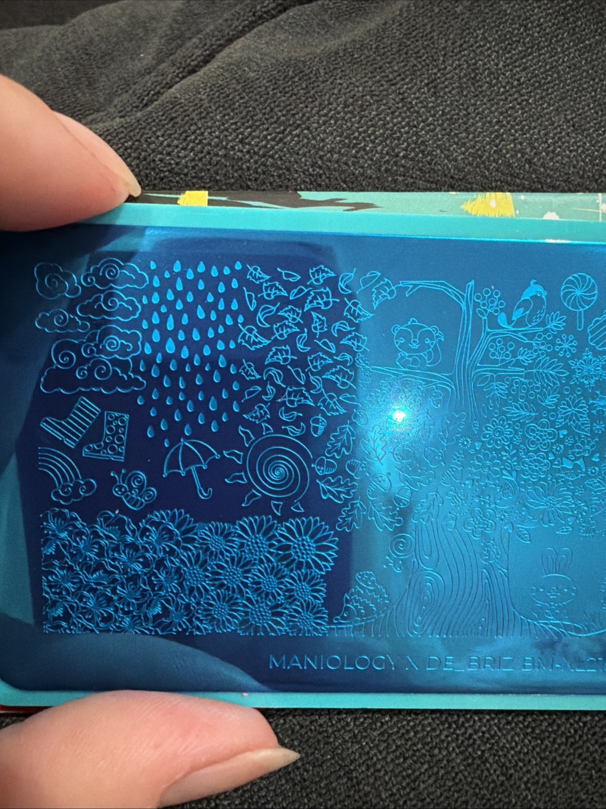 Bundle Monster Maniology de_briz Colab BM-XL215 Seasons Nail Stamping Plate