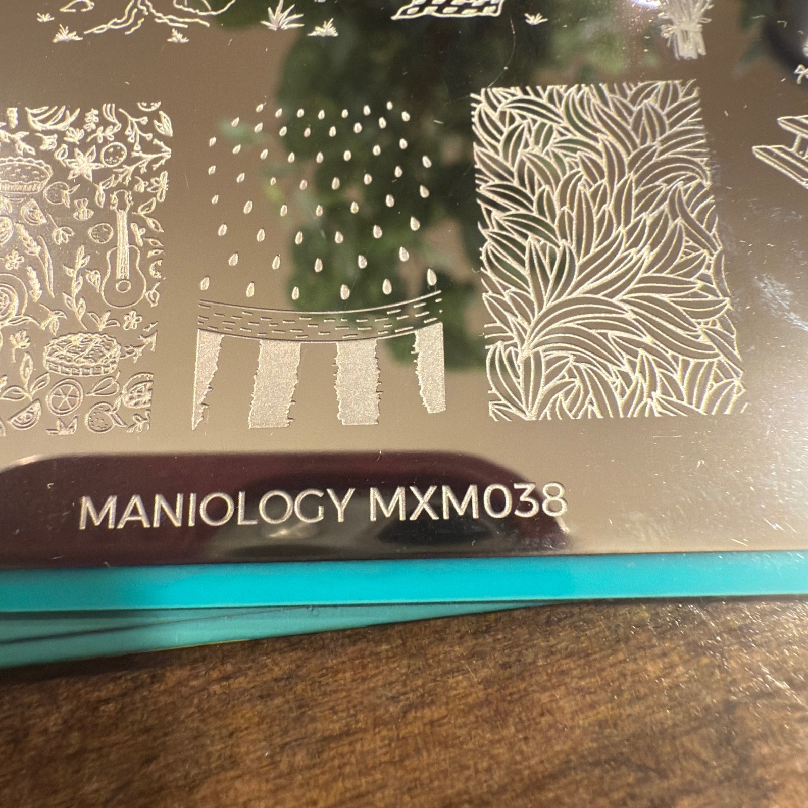 Maniology MXM038 Mani x Me Exclusive Nail Stamping Plate Picnic Food Summer