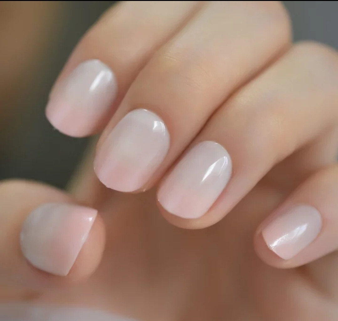24 Short Press on Nails kit w glue nude ombre rounded french