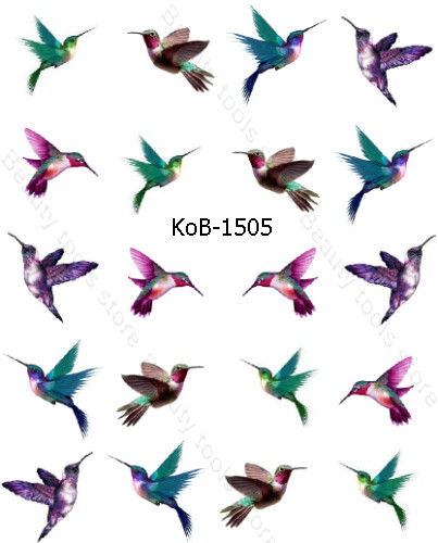 Nail Art Water Transfer Stickers Decals pink green purple birds KoB-1505